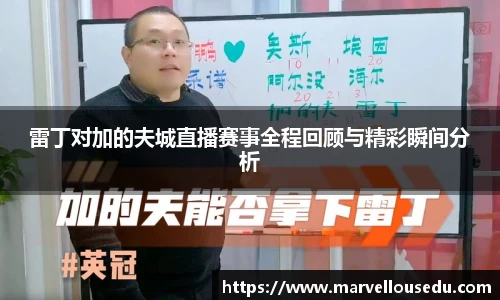 333体育官网