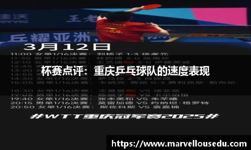 333体育官网