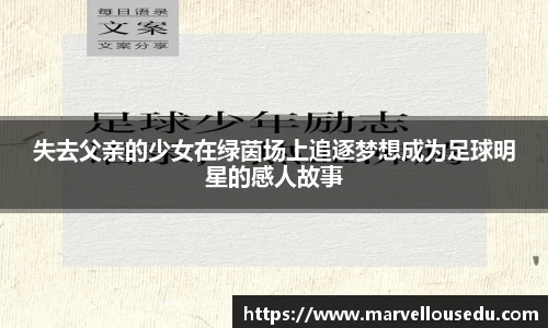 333体育app